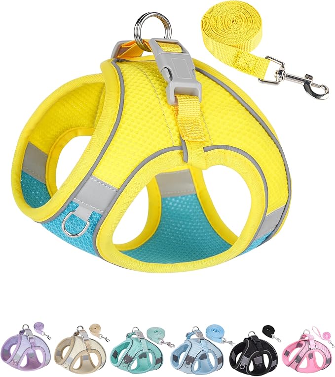Solmoony Dog Harness for Small Medium Dogs No Pull, Puppy Harness and Leash Set, Puppy Harness for Small Dogs, Step in Harness for Small Dogs, Small Dog Harness, mesh Dog Harness. (Blue Yellow, XS) by SOLMOONY
