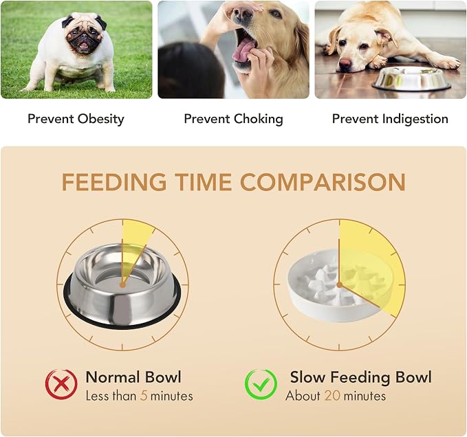 Havniva Raised Slow Feeder Dog Bowls, Elevated Dog Bowls Slow Feeder Set | 1.6 Cups Ceramic Dog Bowl Elevated with Acacia Wood Stand, Raised Dog Food Bowl, Puzzle Slow Feeder for Medium Dogs, Non-Slip - Image 7