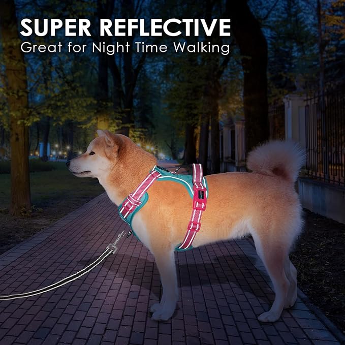 No Pull Dog Harness, Unique Colors Reflective Adjustable Dog Vest | with Soft Training Handle Metal Clips for Small Medium Large Dogs (Mint Green Base & Pink Straps,S) - Image 6