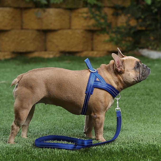 Plutus Pet No Pull Dog Harness for Medium Sized Dog, Breathable Mesh Padded | Adjustable Reflective with Handle, Escape Proof, Quick Fit Pet Vest, Front Clip, for Training and Walking, Royal Blue, M - Image 5