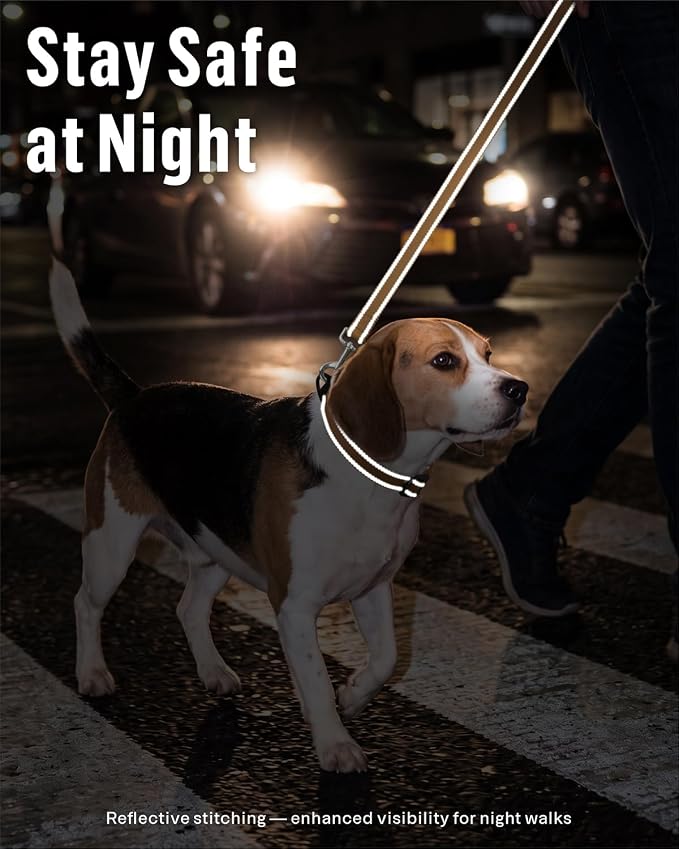 FunTags Reflective Nylon Dog Leash for Small & Medium Dogs, 4FT Training | Comfortable Padded Grip, Stay Safe at Night, 360° Anti-Tangle Swivel, for Dog Parks & Trails, Khaki - Image 3