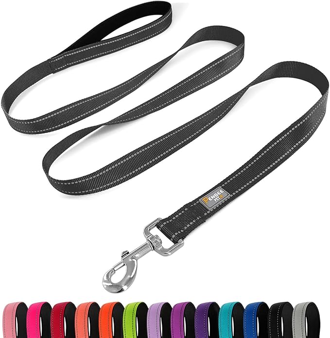6 FT Basic Dog Leash for Medium Dogs,Black | Padded Handle,Metal D-Ring,Heavy Duty Nylon Webbing, for Walking & Training by Penseepet