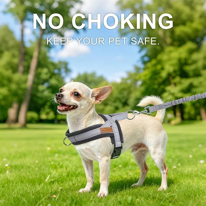 BEAUTYZOO Small Dog Harness and Leash Set, No Pull Step in Puppy Vest | Breathable Mesh with Handle, Reflective, Adjustable No Choke Escape Proof, Lightweight, Easy Control for Walking, Grey S - Image 2