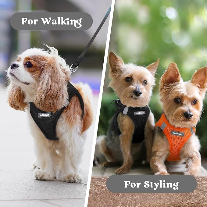 rabbitgoo Step-in Small Dog Harness, Puppy Vest for Small Sized Pet | Easy Put on and off, Lightweight, Soft, Breathable Quick-Dry Air Mesh for Comfortable Secure Walking, Black XXS - Image 8
