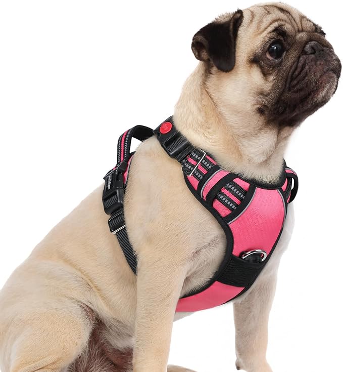 rabbitgoo Dog Harness Small Sized, No Pull 3 Buckles Easy On & Off | Soft Padded, Walking with Control Handle, Adjustable and Reflective, Pink, Small by rabbitgoo