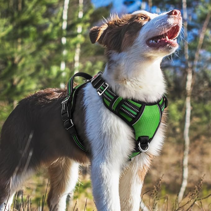 rabbitgoo Dog Harness Medium Sized, No Pull 3 Buckles Easy On & Off | Soft Padded, Walking with Control Handle, Adjustable and Reflective, Green, Medium - Image 8