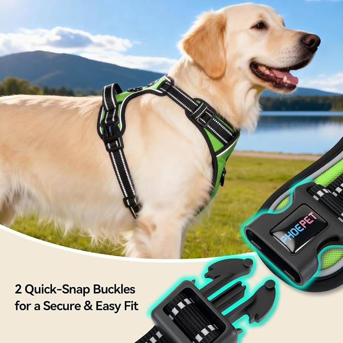 Reflective Dog Harness No Pull Large Breed Vest | with 2 Metal Leash Attachment Hooks(XL, Green) - Image 6