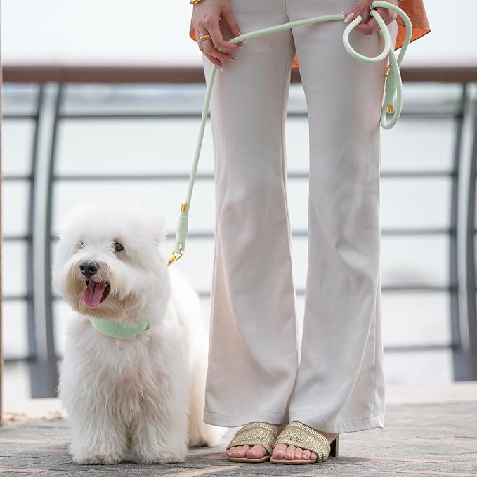 5FT Dog Leash 5/16 inch Puppy Cat Rope Lead | Light Green, with Anti-tangle Swivel Clip, Comfortable Non-slip Grip Handle, Ideal for Daily Walks, for Small Medium Dogs - Image 9
