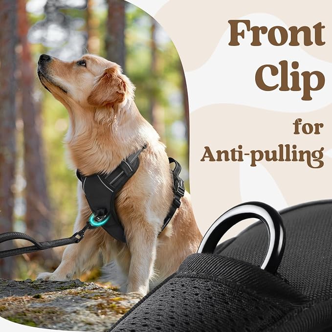 rabbitgoo Dog Harness for Large, Updated Easy On & Off with 3 Buckles | No Pull No Choke, Walking with 2 Clips and Handle, Adjustable Soft Reflective, Black, Large - Image 6