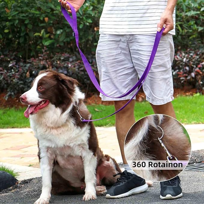 AMAGOOD 6 FT Puppy/Dog Leash, Strong and Durable Traditional Style Leash with Easy to Use Collar Hook, Great for Small, Medium and Large Dogs (1" x 6 ft, Black and Purple (2-Pack)) - Image 2