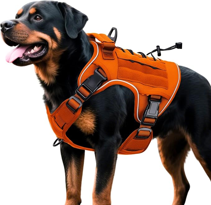 Heavy-Duty Tactical Dog Harness for Large Dogs, No Pull Adjustable Reflective Pet Vest with Molle System, K9 Military-Grade Control for Service Training, Outdoor & 10+ Breeds, Orange, X-Large by Bruvoalon