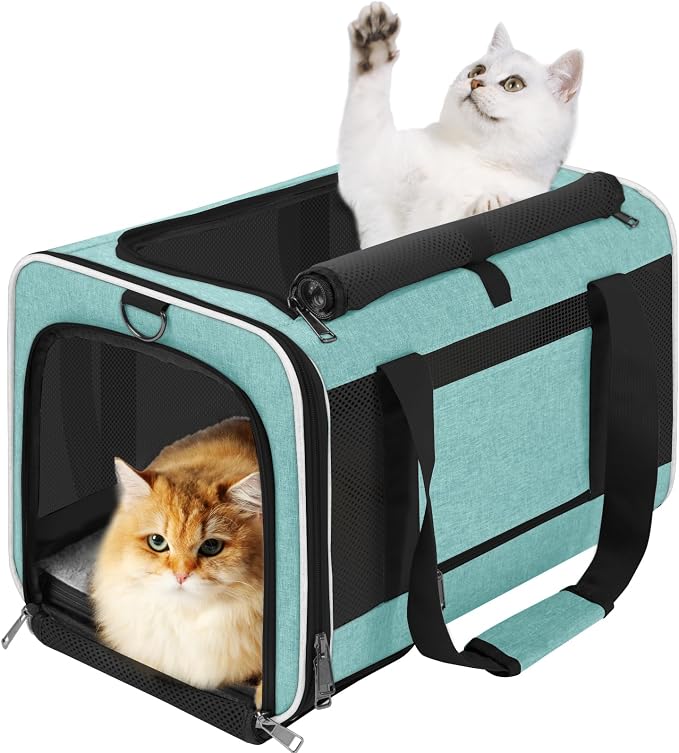 GAPZER Large Cat Carrier Soft, Collapsible Travel Pet Carry Bag, Small Dogs | Big Kitten Cat 20lbs Mainecoon, Top Open Travel Shih-Tzu Pet Kennel, Yorkie Small Dog 10 Pounds, 18x12x12, Durable Cloth Teal by GAPZER
