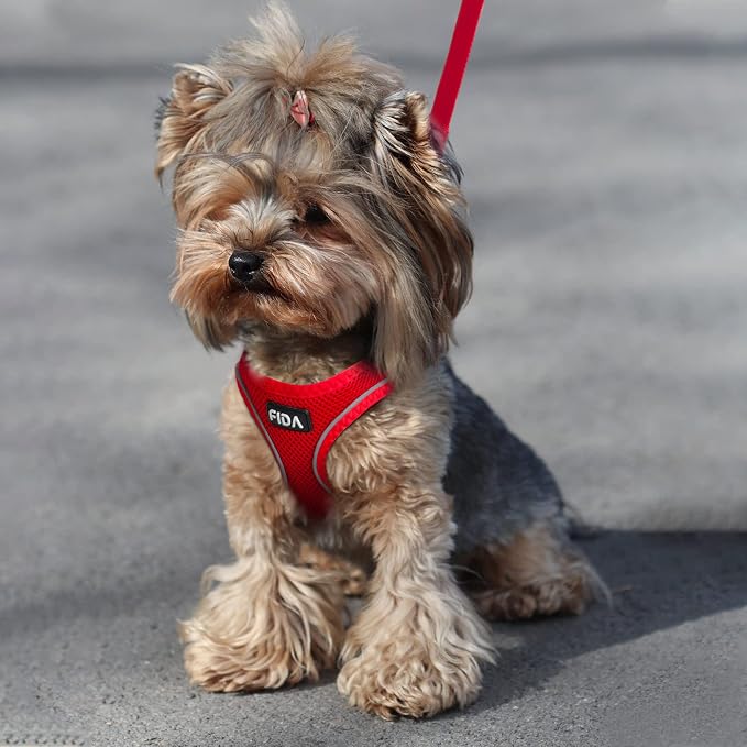 Fida Comfy Dog Harness with Leash, Soft Puppy Vest Escape Proof, Breathable Lightweight Soft Mesh, Adjustable Reflective Step-in Harness for Cat & Extra-Small Pet (XS, Red) - Image 6