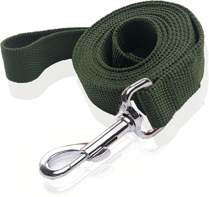 Nylon Dog Leash 4 Ft 5 Feet 6 Foot Long, Walking Training Dog Leashes for Medium Large Dogs, 1 Inch Wide (1" X 5 ft, Green) by SALO