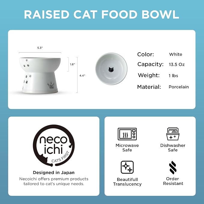 Necoichi Ceramic Raised Cat Food Bowl, Whisker-Friendly (Cats, Large Flat) - Image 5