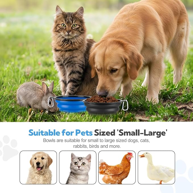 Collapsible Dog Bowl Large 34oz, Travel Dog Water Bowl Portable | 2 Pack, 2 Carabiner Clips, Silicone Travel Dog Bowl Foldable, Feeding Watering Dish Bowl, for Parking, Walking, Camping - Image 7