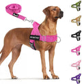 SlowTon No Pull Dog Harness with Front Clip - Heavy Duty, Soft Padded | Neck & Chest Adjustable, Tactical Pet Vest and Leash Set for Large Medium Sized Dogs, for Easy Walk & Training, Fuchsia L by SlowTon