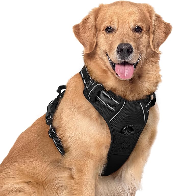 rabbitgoo Dog Harness, No Pull for Large Dogs with 2 Leash Clips, Pet Vest | No Choke with Handle, Adjustable Soft Padded, Reflective, Easy Control for Walking, Black, X-Large by rabbitgoo