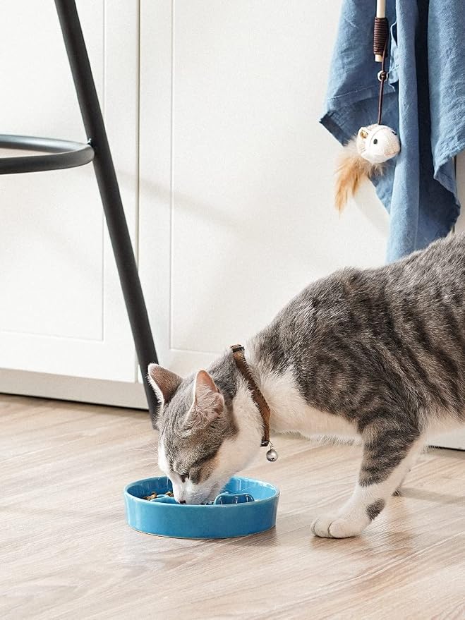 LE TAUCI PET Ceramic Slow Feeder Dog Bowls Small Breed, 0.5 Cups Dog Food Dish for Fast Eaters, Puzzle Bowl for Small Dogs and Cats, 5.5 Inch-Blue - Image 2