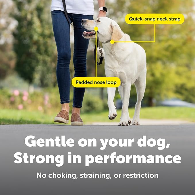 PetSafe Gentle Leader No Pull Dog Headcollar, Black, Medium | Veterinary Behaviorist-Designed No-Pull Headcollar Redirects Pulling Instinct, Padded Neoprene Nose Loop, Quick-Snap Fit - Image 4