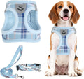 PUPTECK Dog Harness, Collar and Leash Set No Pull for Small Medium Sized | Plaid Puppy Step-in Escape Proof Reflective No Choke Pet Cat Adjustable Walking Vest by PUPTECK