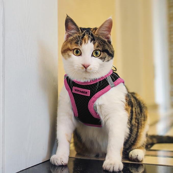 Voyager Step-in Air Dog Vest Harness - Black/Pink Trim, X-Small | 13 - 14.5" in Chest, Reflective Bands, All Weather Breathable Air Mesh, Cats Compatible, Lightweight, Fast Drying - Image 8