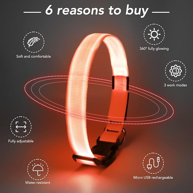 Light Up Dog Collar, Rechargeable USB Collar, Waterproof, Luminous LED Collar, Adjustable, Super Bright, Night Walking for Small Medium Large Dogs, Orange, L - Image 2