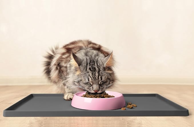 CatGuru Cat Bowls, Whisker Friendly Food Bowl for Indoor Cats, Reliefs Whisker Fatigue, Wide Kitten Dish, Non Slip Pet Dishes, Shallow Pet Plates (Pink, (Pack of 2)) - Image 6