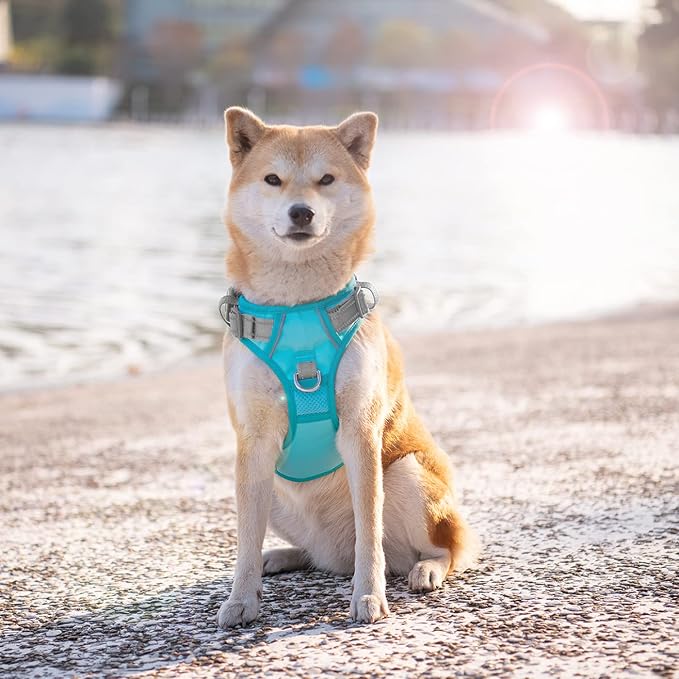 No Pull Dog Harness, Unique Colors Reflective Adjustable Dog Vest, with Soft Training Handle Metal Clips for Small Medium Large Dogs (Mint Green Base & Grey Straps,L) - Image 3