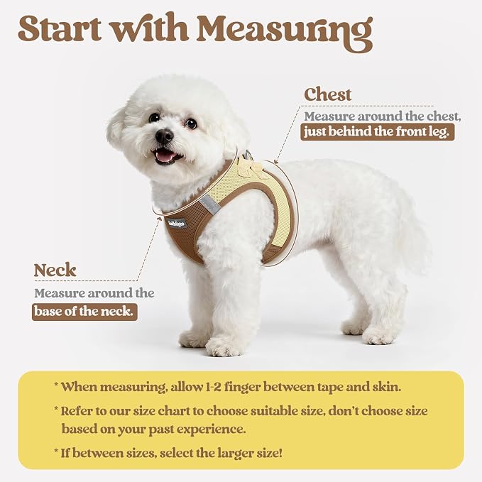 rabbitgoo Dog Harness Small Sized and Leash Set, Step-in Puppy Pet Vest | Light, Soft, Breathable Air Mesh, Easy on and Remove with Hook & Loop, Secure Reflective for Walking, Brown & Beige S - Image 2