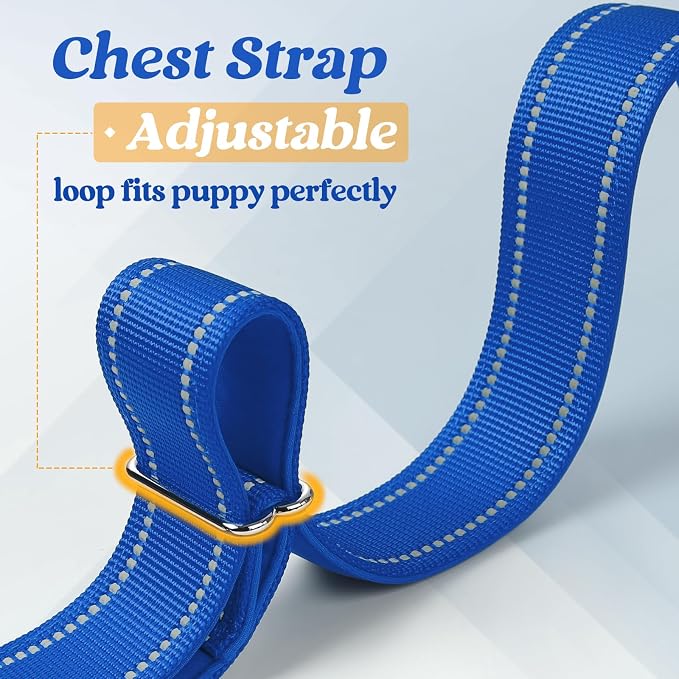 rabbitgoo Dog Harness No Pull, Quick Fit for Medium Sized Dog, Reflective | Chest Adjustable Pet Vest with Soft Padded Handle, No Choke Escape Proof for Walking Training, Blue M - Image 7
