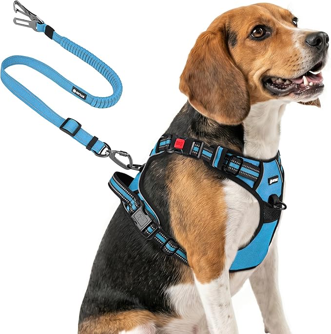 Joytale No Pull Dog Harness & Seat Belt, Easy On 3-Buckle, M, Sky Blue | Front Clip Reduces Pulling, Escape-Resistant Design, Adjustable Fit, Soft Padding for Comfort, Secure Tether for Safer Travel by Joytale