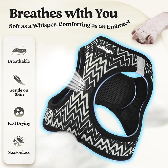 rabbitgoo Dog Harness Small Sized and Leash Set, Step-in Puppy Pet Vest | Light, Soft, Breathable Air Mesh, Easy on and Remove with Hook & Loop, Secure Reflective for Walking, Black Zigzag XXS - Image 4