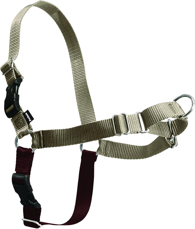 PetSafe Easy Walk Harness, No Pull Dog Harness, Fawn, Small/Medium | Patented Martingale Loop Gives Gradual Shoulder Pressure to Stop Pulling, Front-Chest Leash Clip Prevents Gagging by PetSafe