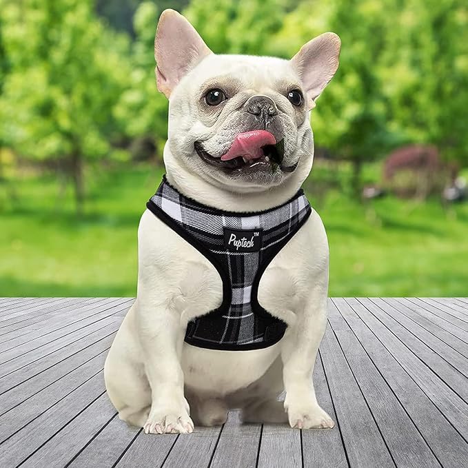 PUPTECK Small Dog Harness and Leash Set No Pull for XS XXS Sized Dogs Puppy | Escape Proof No Choke Pet Cat Adjustable Soft Padded Walking Vest - Image 6