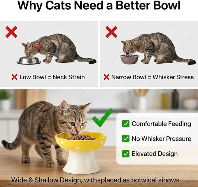 Elevated Ceramic Cat Bowls Set of 2, Mushroom Raised Wide & Shallow Cat Food and Water Bowls, Whisker Friendly Feeding Bowls for Cats & Small Dogs (Red+Yellow) - Image 4