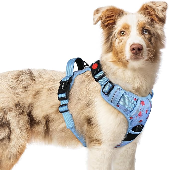 rabbitgoo Dog Harness Medium Sized, Updated Easy On & Off with 3 Buckles | No Pull No Choke, Walking with 2 Clips and Handle, Adjustable Soft Reflective, Floral Blue, Medium by rabbitgoo