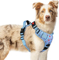rabbitgoo Dog Harness Medium Sized, Updated Easy On & Off with 3 Buckles | No Pull No Choke, Walking with 2 Clips and Handle, Adjustable Soft Reflective, Floral Blue, Medium by rabbitgoo