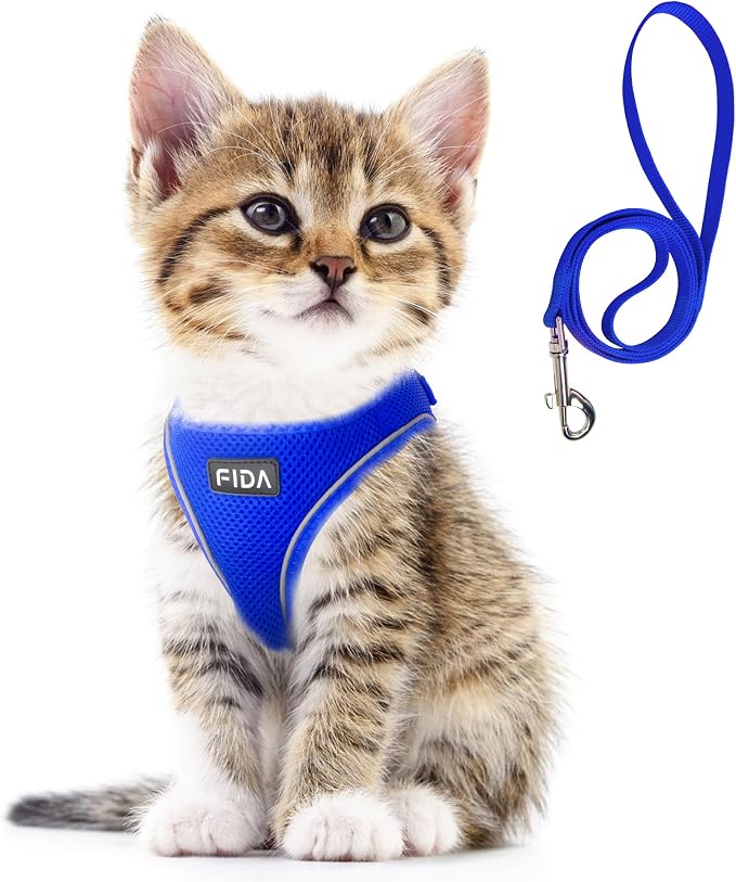 Fida Cat Harness and Leash Set for Walking Kitten and Puppy, Escape Proof Kitten Harness with Breathable Lightweight Soft Mesh, Adjustable Reflective Step-in Design for Kitten and Puppy.(XXXS, Blue) by Fida