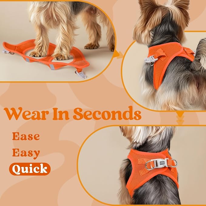 rabbitgoo Step-in Small Dog Harness, Puppy Vest for Small Medium Sized Pet | Easy Put on and off, Lightweight, Soft, Breathable Quick-Dry Air Mesh for Comfortable Secure Walking, Orange L - Image 5