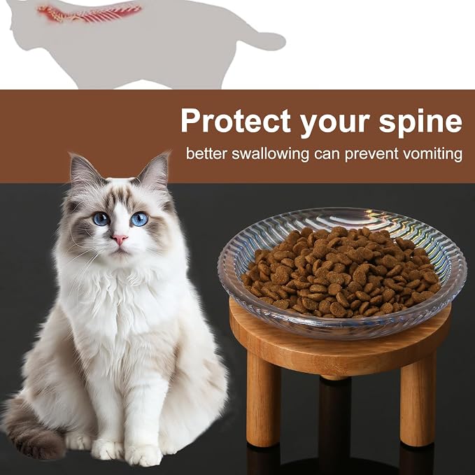 Cat Bowls Whisker Friendly with Wooden Stands. Raised Elevated Glass Whisker Fatigue Cat Bowl for Indoor Cats. 2PCS (Rainbow Colors) - Image 6