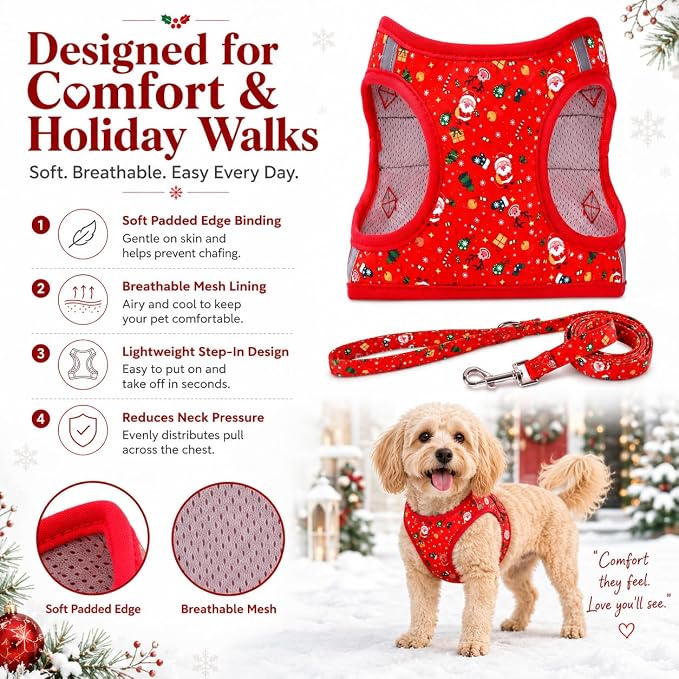Step in Christmas Xmas Day Dog Harness Leash Set- All Weather Reflective No-Pull Floral Pattern Padded Mesh Vest Harness for Cats Puppy Extra-Small Small Medium Large Dogs - XS - Image 4