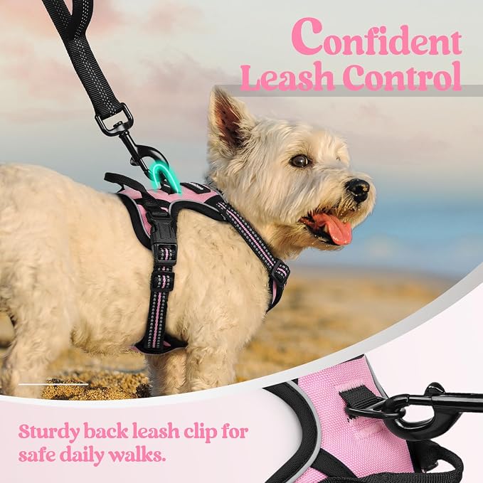 rabbitgoo Dog Harness No Pull with 2 Leash Clips, Adjustable Soft Padded, Reflective Oxford No Choke Pet Vest with Easy Control Handle for Puppy, Pink, XS | No Choke with Handle, Adjustable Soft Padded, Reflective, Easy Control for Walking, Pink, X-Small - Image 6