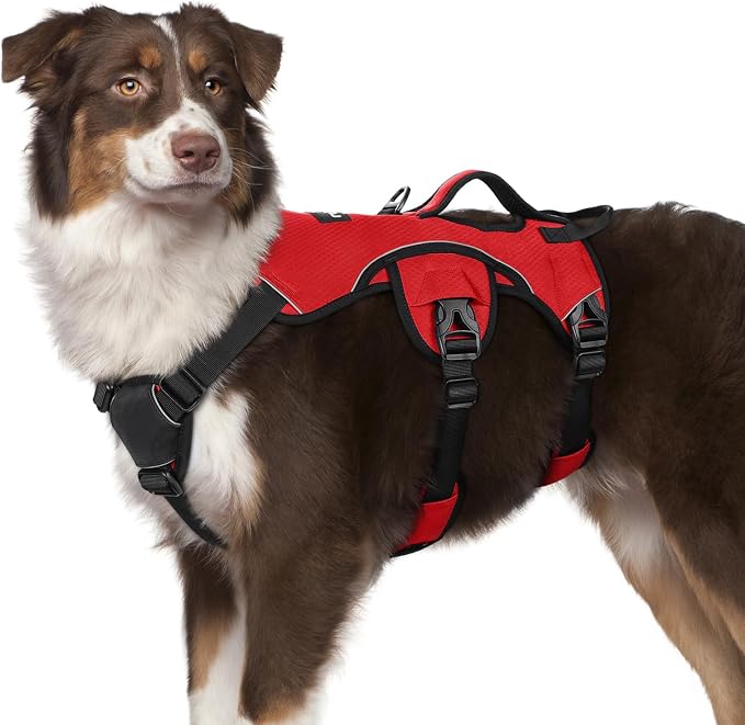rabbitgoo Escape Proof Dog Harness for Medium, No Pull with Lift Handle | No Escape, Full Soft Padded, Reflective Adjustable Vest, Leash Clip for Walking Hiking Training, Red, Medium by rabbitgoo