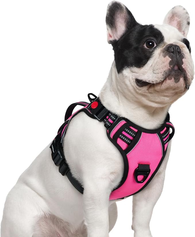 rabbitgoo Large Dog Harness, Easy Wear with 3 Buckles and Lift Handle | No Pull with Front Clip for Walking, Adjustable Soft Padded, Reflective, Easy Control, Pink, Small by rabbitgoo