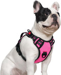 rabbitgoo Large Dog Harness, Easy Wear with 3 Buckles and Lift Handle | No Pull with Front Clip for Walking, Adjustable Soft Padded, Reflective, Easy Control, Pink, Small by rabbitgoo