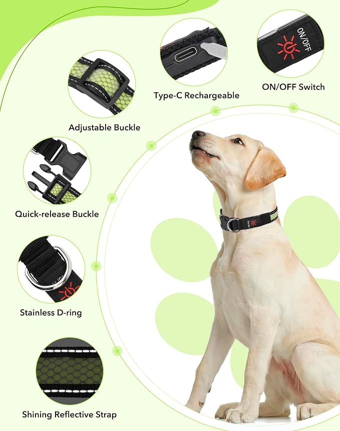 Weesiber Light Up Dog Collar - Reflective LED Dog Collar Rechargeable Glow in The Dark Pet Collar, Safety Doggie Lights for Night Walking(Green, S) - Image 2