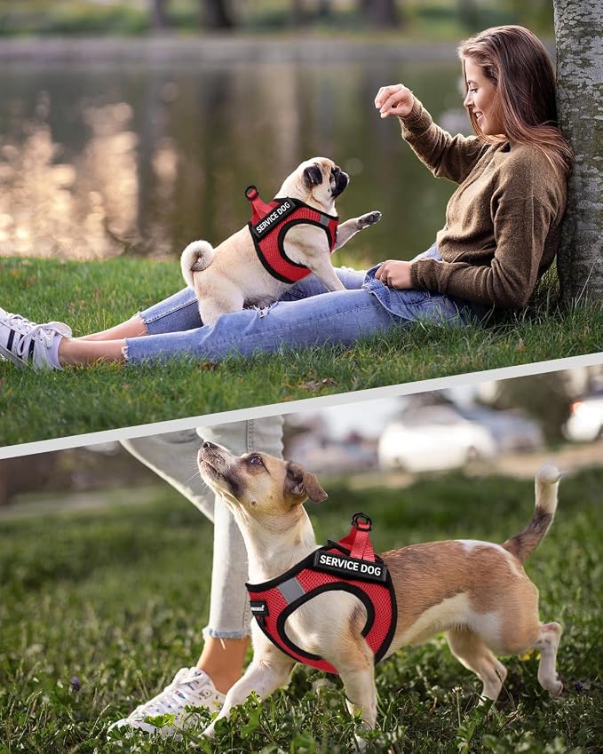 FAYOGOO Service Dog Vest Set for Small Dogs, Mesh Harness and Leash | Lightweight step-in vest with leash and removable identification patches; measure neck and chest before choosing a size - Image 5