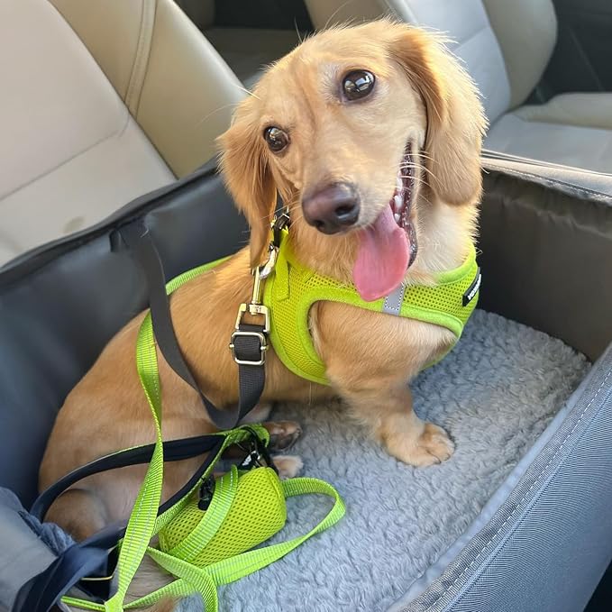 Best Pet Supplies Voyager Step-in Air All Weather Mesh Harness and Reflective Dog 5ft Leash Combo with Neoprene Handle, for Small, Medium and Large Breed Puppies - Lime Green, XXX-Small - Image 7