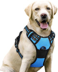 rabbitgoo Dog Harness, No Pull for Large Dogs with 2 Leash Clips, Pet Vest | No Choke with Handle, Adjustable Soft Padded, Reflective, Easy Control for Walking, Blue, Large by rabbitgoo